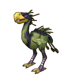 Grassfoot Screecher