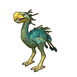 Oakfeather Raptor