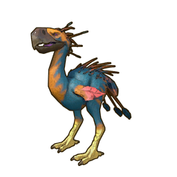 Coastal Sunbeak