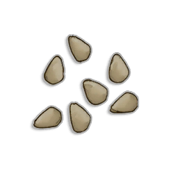 Tomato seeds