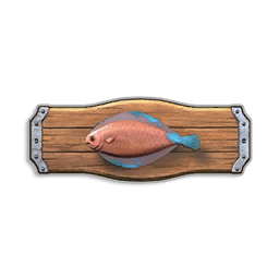 Pristine Desert Sole Trophy