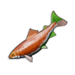 Pristine Trout