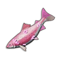 Unusual Trout