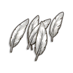 Warped Feathers
