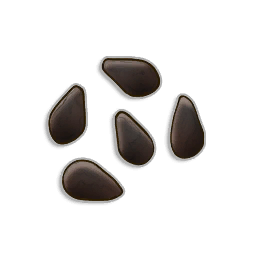 Watermelon seeds