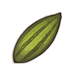 Willow tree seed