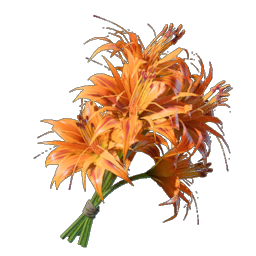Daylily