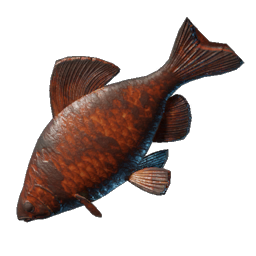 Grilled Shimmerfin