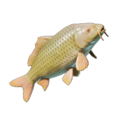Lakehopper