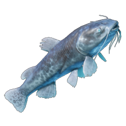 Shockfin