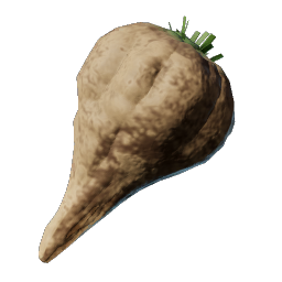 Forest Beet