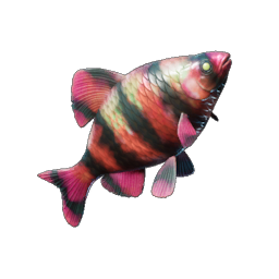 Emberfin