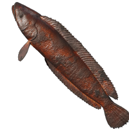 Grilled Shadowtail