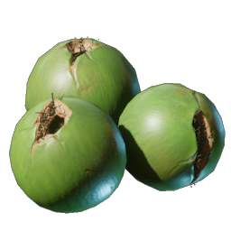 Coconut