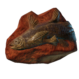 Fish Fossil