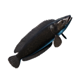 Shadowtail