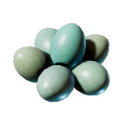Eggs