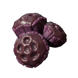 Prickle Pearl