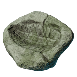 Trilobite Imprint