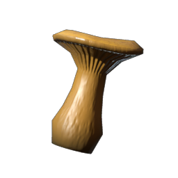 Chanterelle Seedling