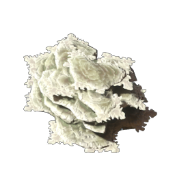 Brittle Shroud Flakes