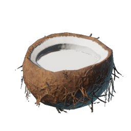 Coconut Milk