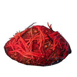 Dune Armadillo Food