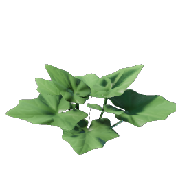 Grapple Plant Seedling