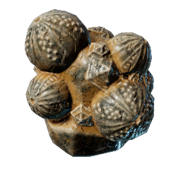 Sea Urchin Cluster