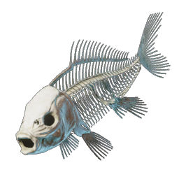 Fish Bones