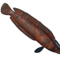 Grilled Stripetail