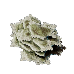 Brittle Shroud Flakes