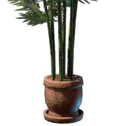 Bamboo Plant