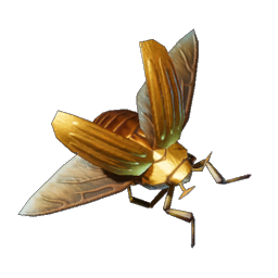 Scarab