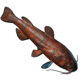 Grilled Whiskerfin