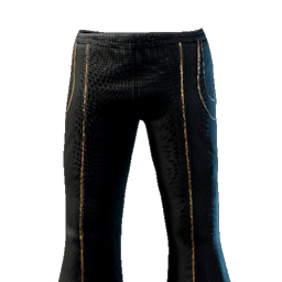 Scholar Of The Empyrean Pants