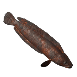 Grilled Stripetail