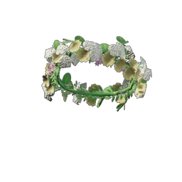 Efflorescent Hope Flower Crown