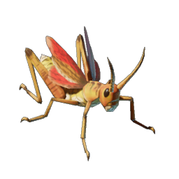 Grasshopper