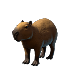 Baby Capybara