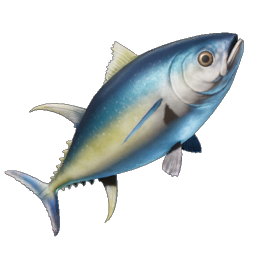 Yellowfin