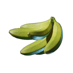Plantain