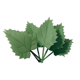 Stinging Nettle