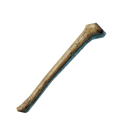 Bones
