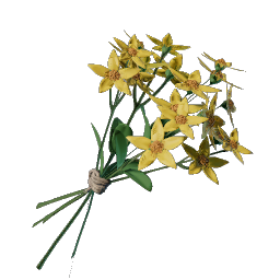 Aureolin Flower