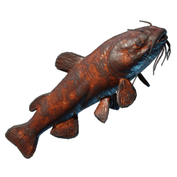 Grilled Shockfin