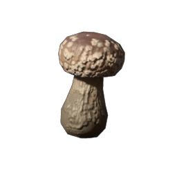 Shiitake Seedling
