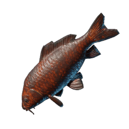 Grilled Lakehopper