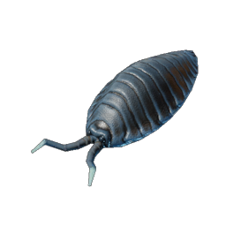 Pillbug