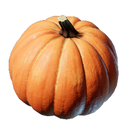 Pumpkin